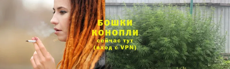 Бошки Шишки White Widow  купить   Стерлитамак 